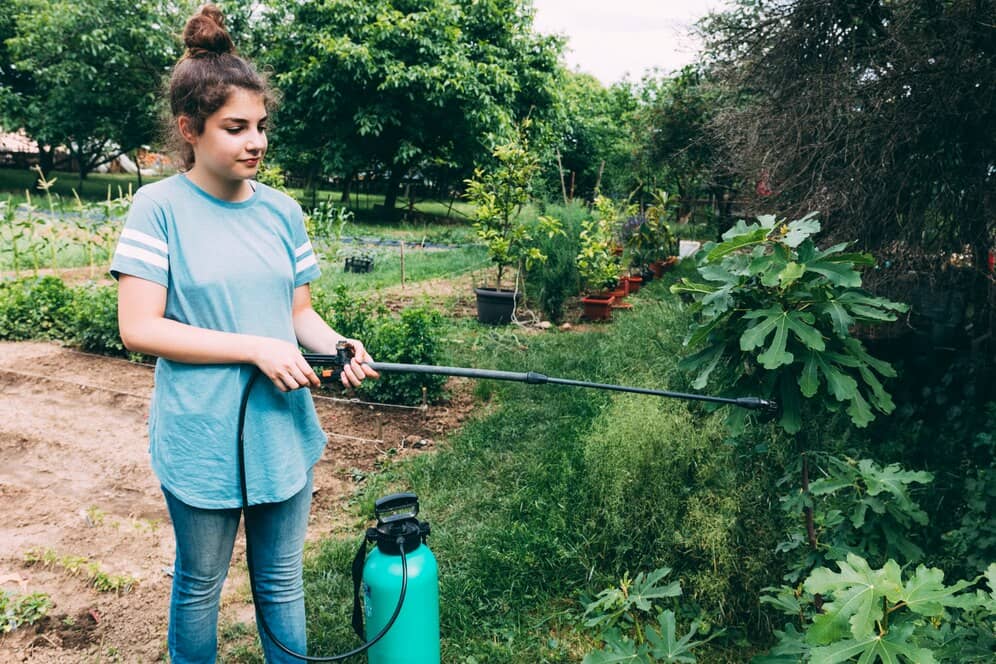 Have you tried talking to your plants?